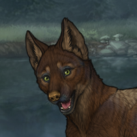 [T1] Dark Brown (MuDI) Headshot