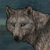 Rhagodia Headshot