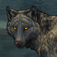 Wolf Headshot