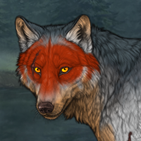 Wolf Headshot