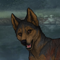 Enclave Puppy Headshot