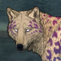 Skoll Headshot