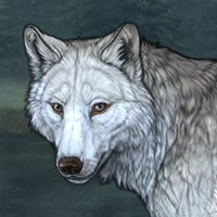 Wolf Headshot