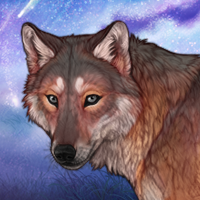 Ywola Headshot