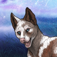 Male Piebald Headshot