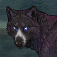 Nightdancer Winterwolf Headshot