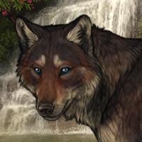 RedwoodBark Headshot