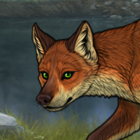 t3 fox Headshot