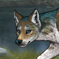 Piebald: Zerdava Headshot