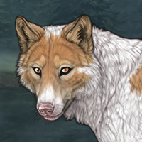 Shellpelt Headshot