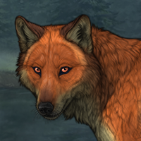 Fox That Roams Forest Headshot