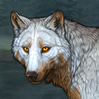 Wolf Headshot