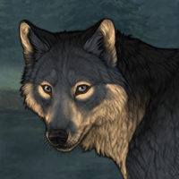 Wolf Headshot