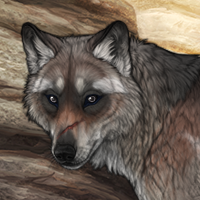 Wolf Headshot