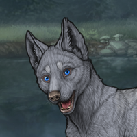 F blue pup Headshot