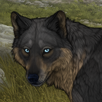 Ivor Headshot