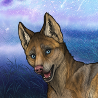 Citrine and Khaos puppy Headshot