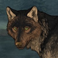 Wolf Headshot