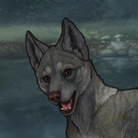 HOLY CARP New Puppy ALB Headshot