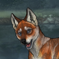 Gen 3 fox 6M Headshot