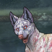 G3 T2 5m 4ev merle SOMN Headshot