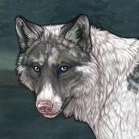 Piebald Headshot