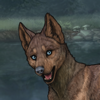 Abyssal Lykoi Marking Headshot