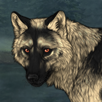 Wolf Headshot