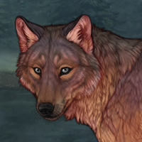 Wolfy's Legacy Headshot