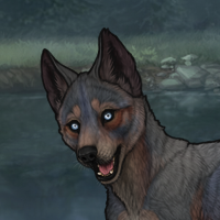 Blueschist Husky G2 Headshot