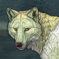 Wolf Headshot