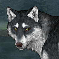 Wolf Headshot