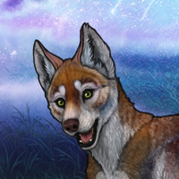 Kelpie Headshot