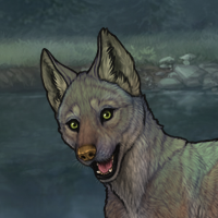 [T1] Dark Fawn (MuDI) Headshot