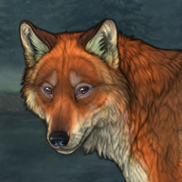 Foxheart Headshot