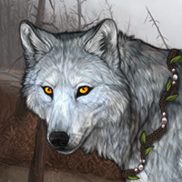 Wolf Headshot