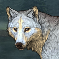 Wolf Headshot