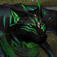 Wolf Headshot