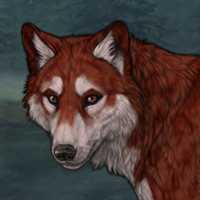 red'pelt Headshot