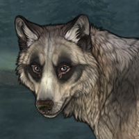 Wolf Headshot