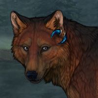 Mahogonypelt Headshot