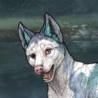 Piebald: Frontal Headshot