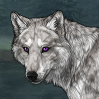Storm Headshot
