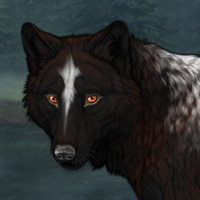 Wolf Headshot