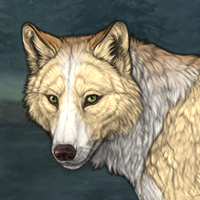 Wolf Headshot