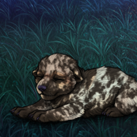 New Runt Puppy Headshot