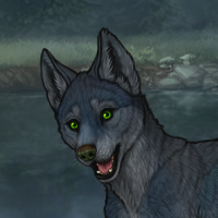 JayFeather -Finisher- Headshot