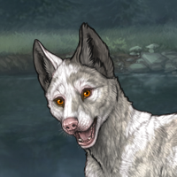 Piebald Headshot