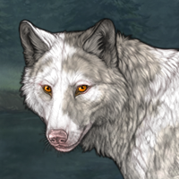 Piebald Headshot