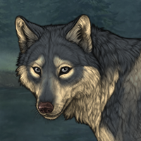 Wolf Headshot